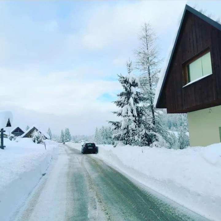 Apartments Podkoren 82 クランスカゴーラ エクステリア 写真