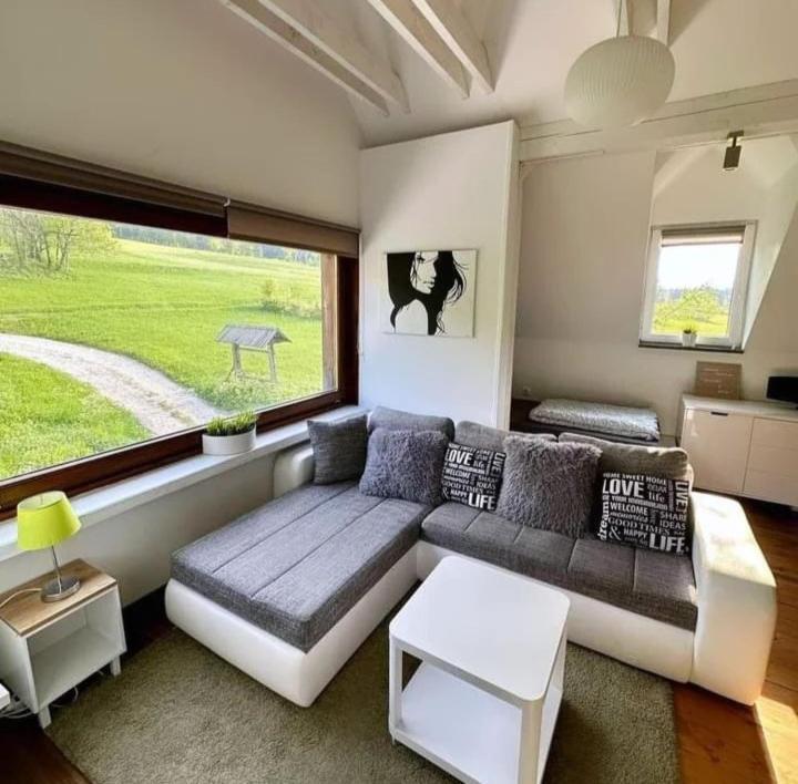Apartments Podkoren 82 クランスカゴーラ エクステリア 写真